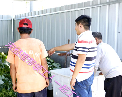 夏日來臨，當你吹空調(diào)喊熱的時候，讓我?guī)阋黄鹱哌M東楓園林體驗一下東楓人高溫下工作不一樣的夏日風(fēng)采